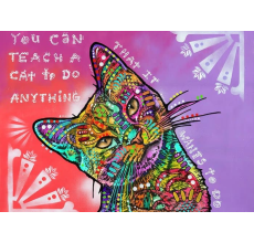 Drymate Mats for Cats Teach A Cat 12 X 20 Inch - 30 Cms X 50 Cms