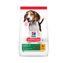 Hill's Science Plan Medium Puppy Food with Chicken - 2.5kg