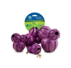 Pet Safe Busy Buddy Barnacle- Medium