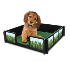 Drymate Potty Rink 64 X 64 Inches Potty Rink with accessories and a FREE MAT