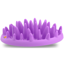 COA Catch Interactive Feeder