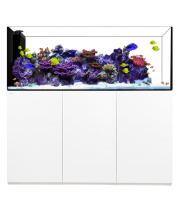 Waterbox Crystal PENINSULA 7225+ Cabinet- L 180CM X W 65CM X W 60CM-WHITE