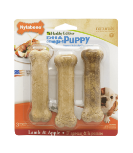 Nylabone Healthy Edibles Puppy Lamb & Apple 3 count Blister Card Regular