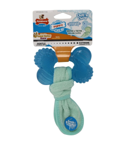 Nylabone Puppy Chew Freezer Bone Regular