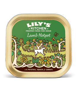 Lily's Kitchen Lamb Hotpot Wet Dog Food (150g)