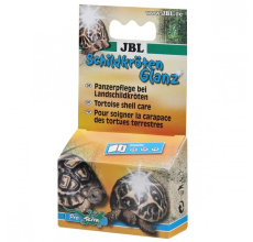 JBL TORTOISE SHINE