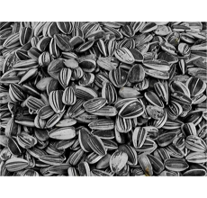 VADIGRAN Sunflower seed small striped 2,5 kg