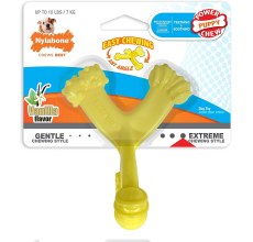 Nylabone Puppy Power Chew Axis Bone, Vanilla Regular