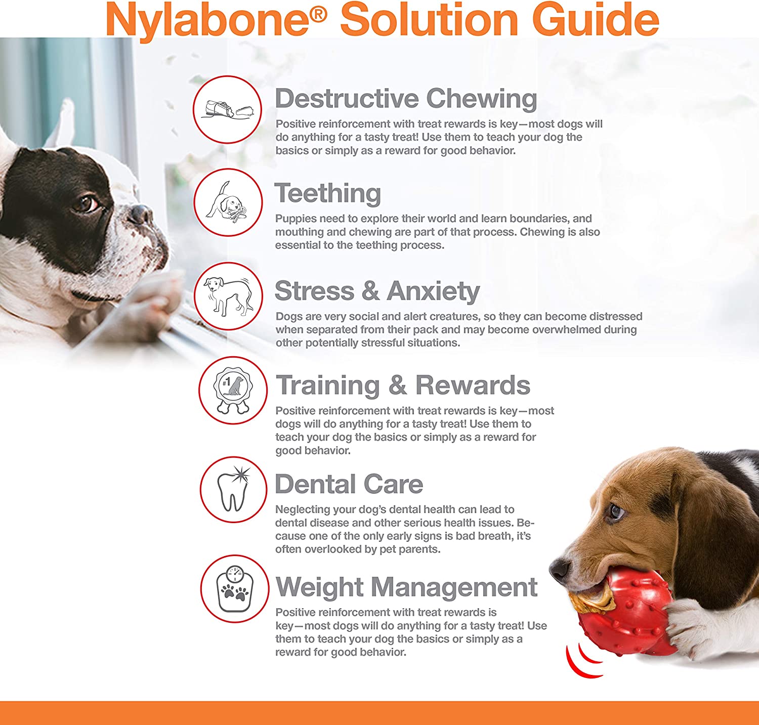 Nylabone Power Chew Textured Bone, Beef Jerky Petite