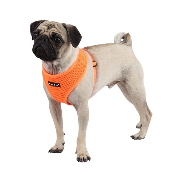 PUPPIA NEON SOFT HARNESS A ORANGE L Neck 14.2" Chest 19.3-26.8"