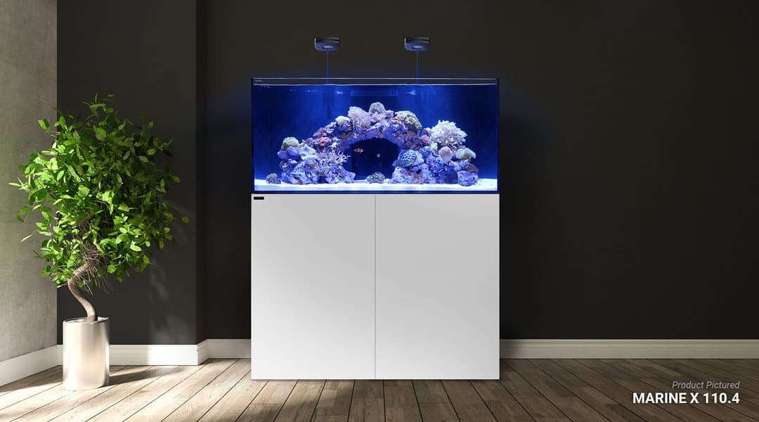 Waterbox Marine X 60.2 White L 60 Cm W 50 Cm H 50 Cm