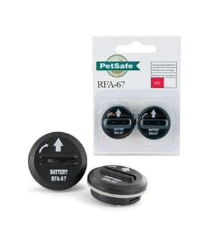 PetSafe 6 Volt BM Dual Pack